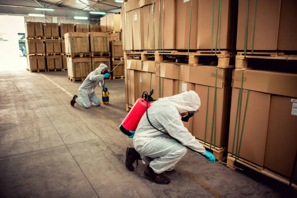 Best Cockroach Control Services  in Sunbury, OH