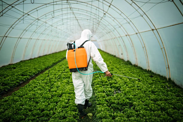 Best Affordable Pest Control Services  in Sunbury, OH