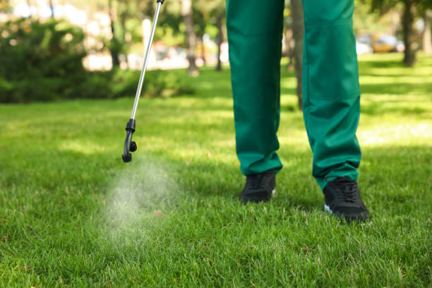 Best Wasp Removal Services  in Sunbury, OH