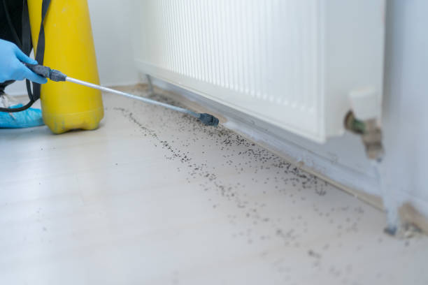 Best Emergency Pest Control  in Sunbury, OH