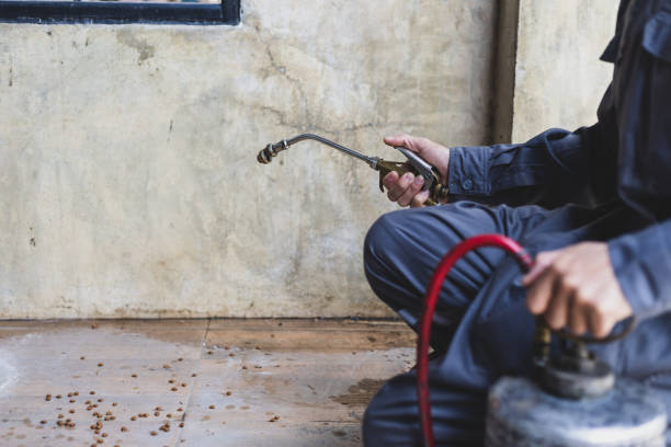 Best Best Pest Control Companies  in Sunbury, OH